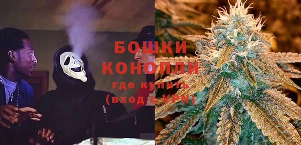 индика Белоозёрский