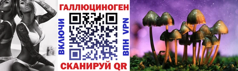 Галлюциногенные грибы Psilocybine cubensis  наркотики  ссылка на мегу ТОР  Купино 